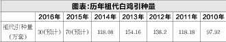 肉鸡行情看好 今年或迎来“直升鸡”